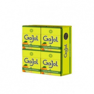 Gajol Med Citrussmag 8x23g